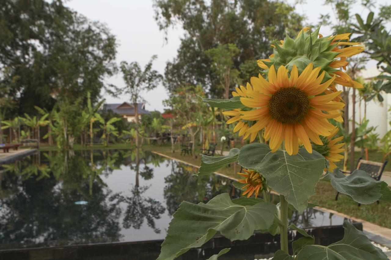 Blue Spring Boutique Hotel Siem Reap Exterior photo